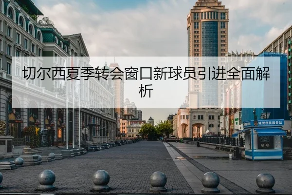 切尔西夏季转会窗口新球员引进全面解析